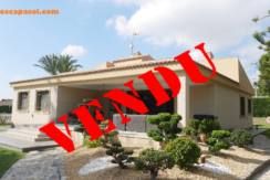 a-vendre-Superbe-Maison-Elche-Alicante