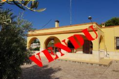 charmante-maison-a-la-campagne-a-elche-province-de-alicante - copia