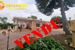 a-vendre-maison-plain-pied-5-chambres-elche-alicante