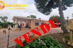 a-vendre-maison-plain-pied-5-chambres-elche-alicante