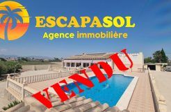 maison-piscine-double-garage-catral
